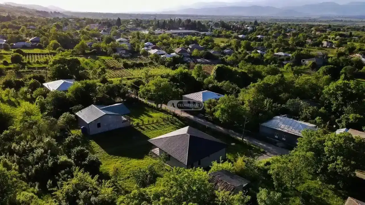 новый дом в селе Икалто