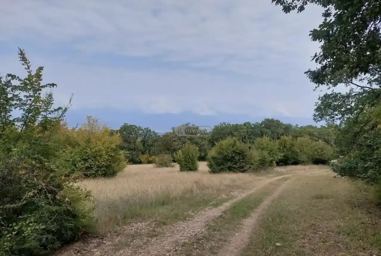 Land for Sale in Ikalto