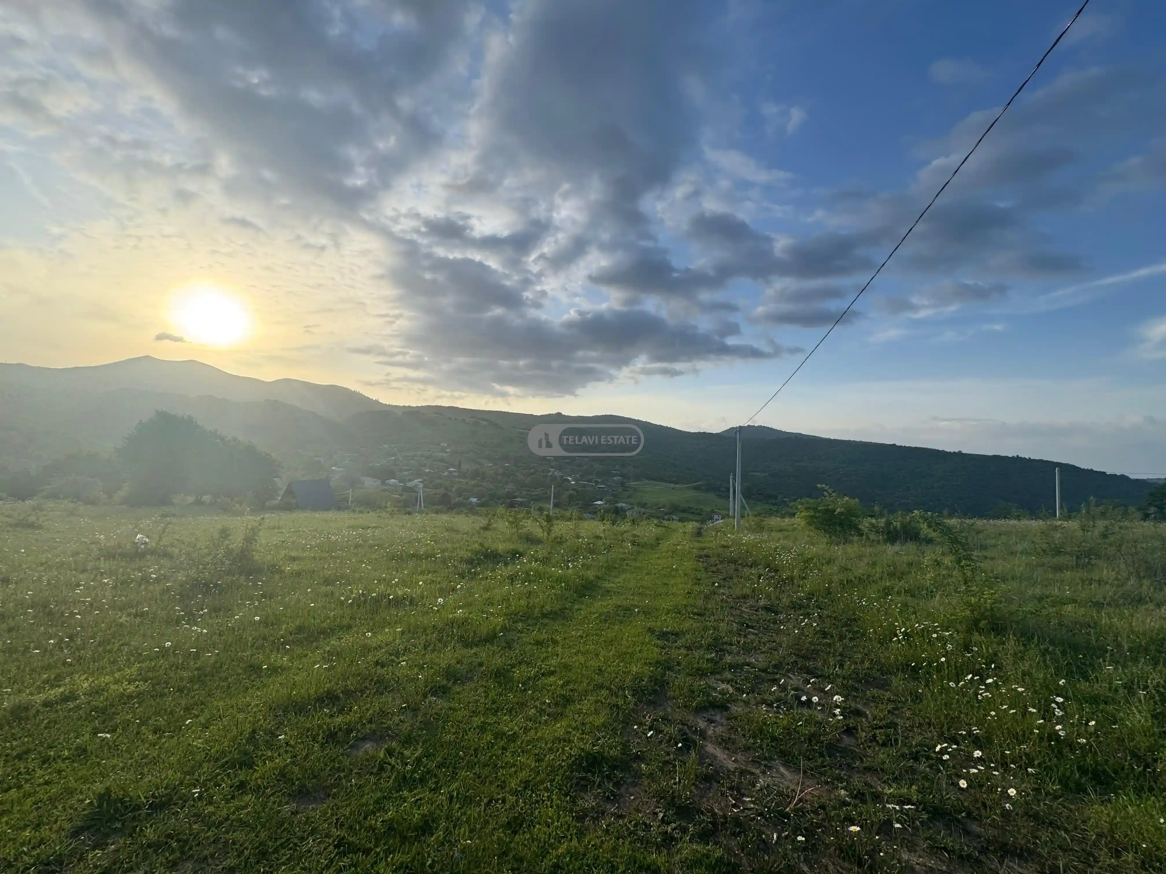 Land for Sale in Tetritskhlebi