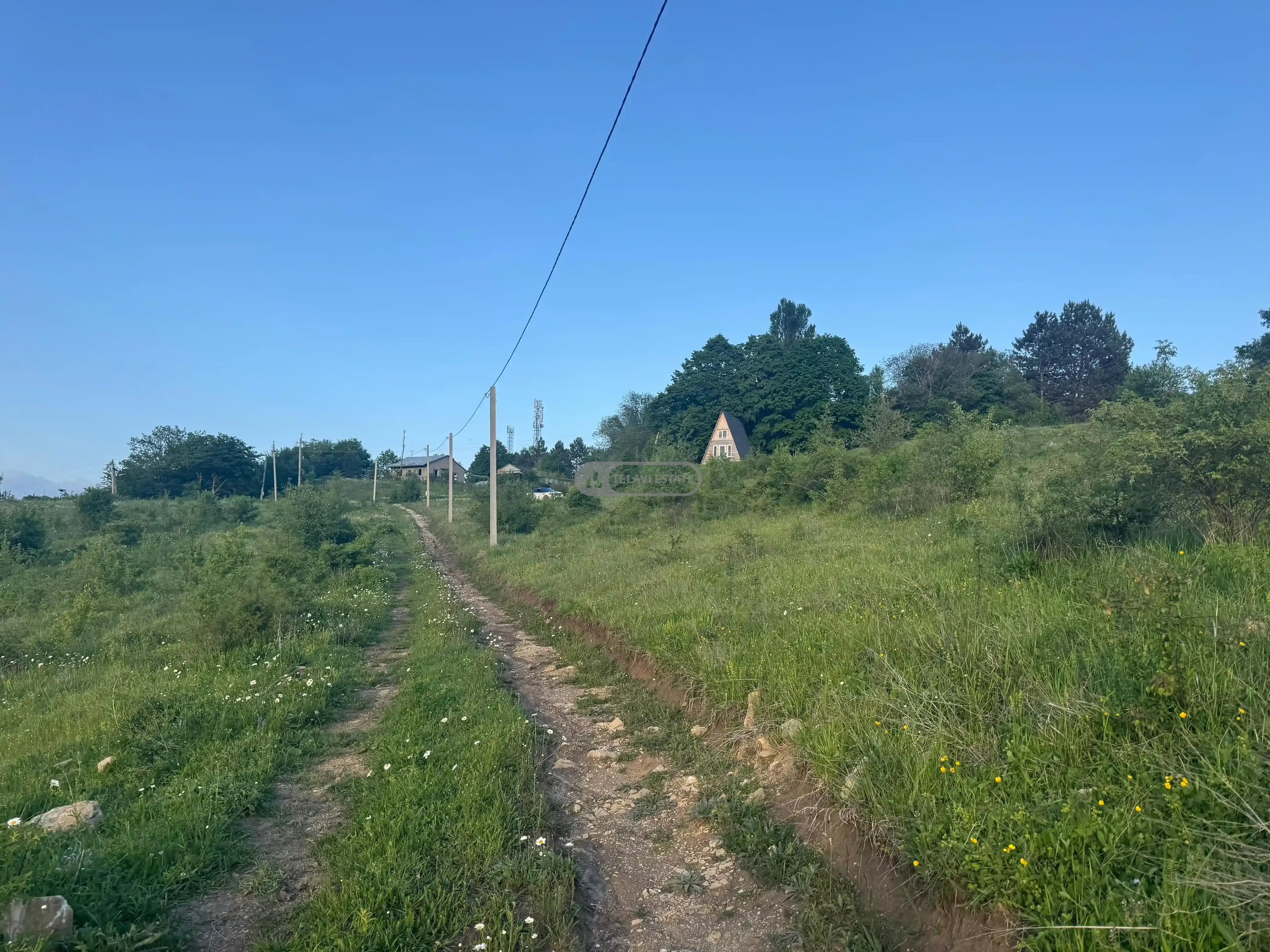 Land for Sale in Tetritskhlebi