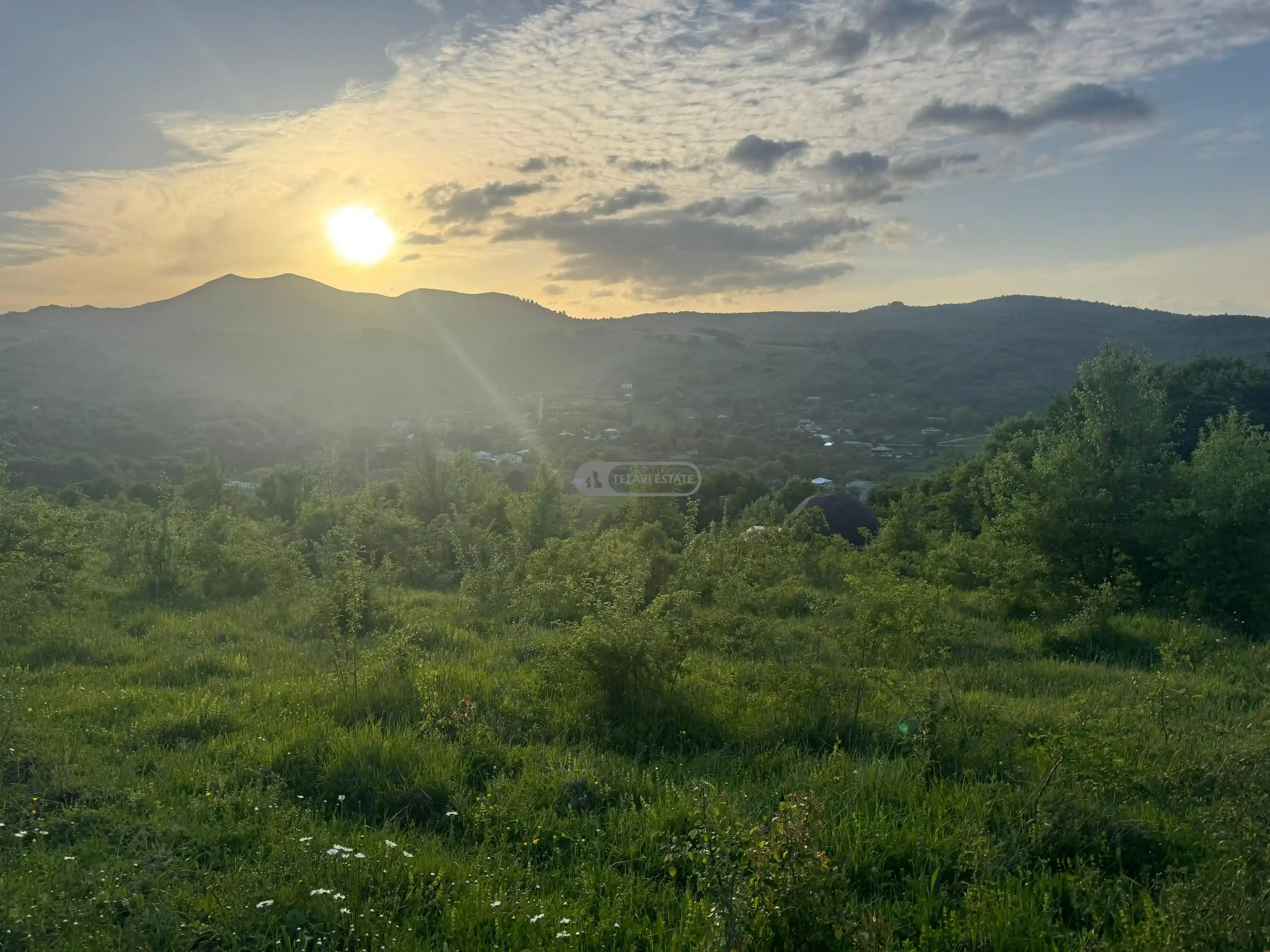 Land for Sale in Tetritskhlebi