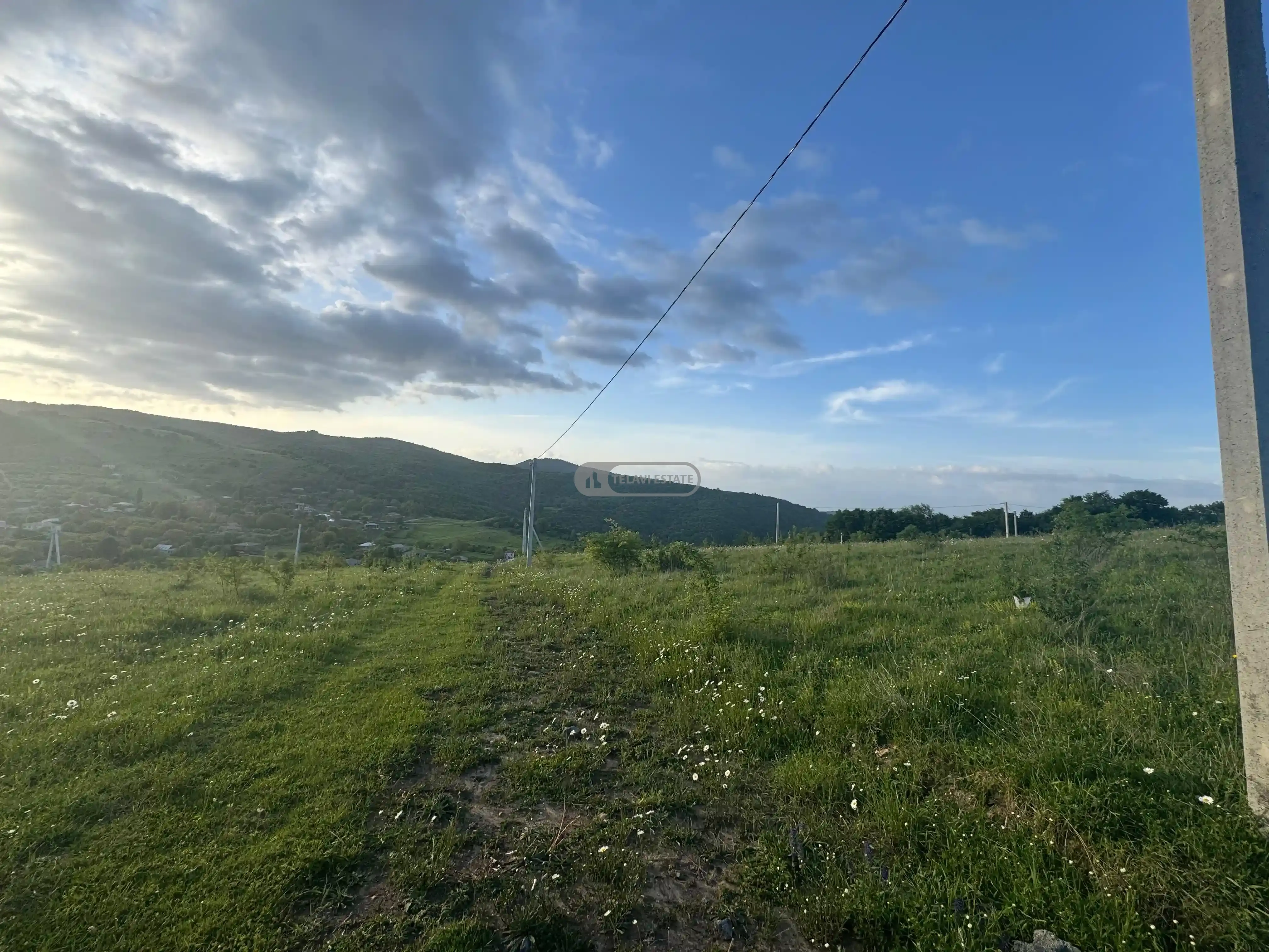 Land for Sale in Tetritskhlebi