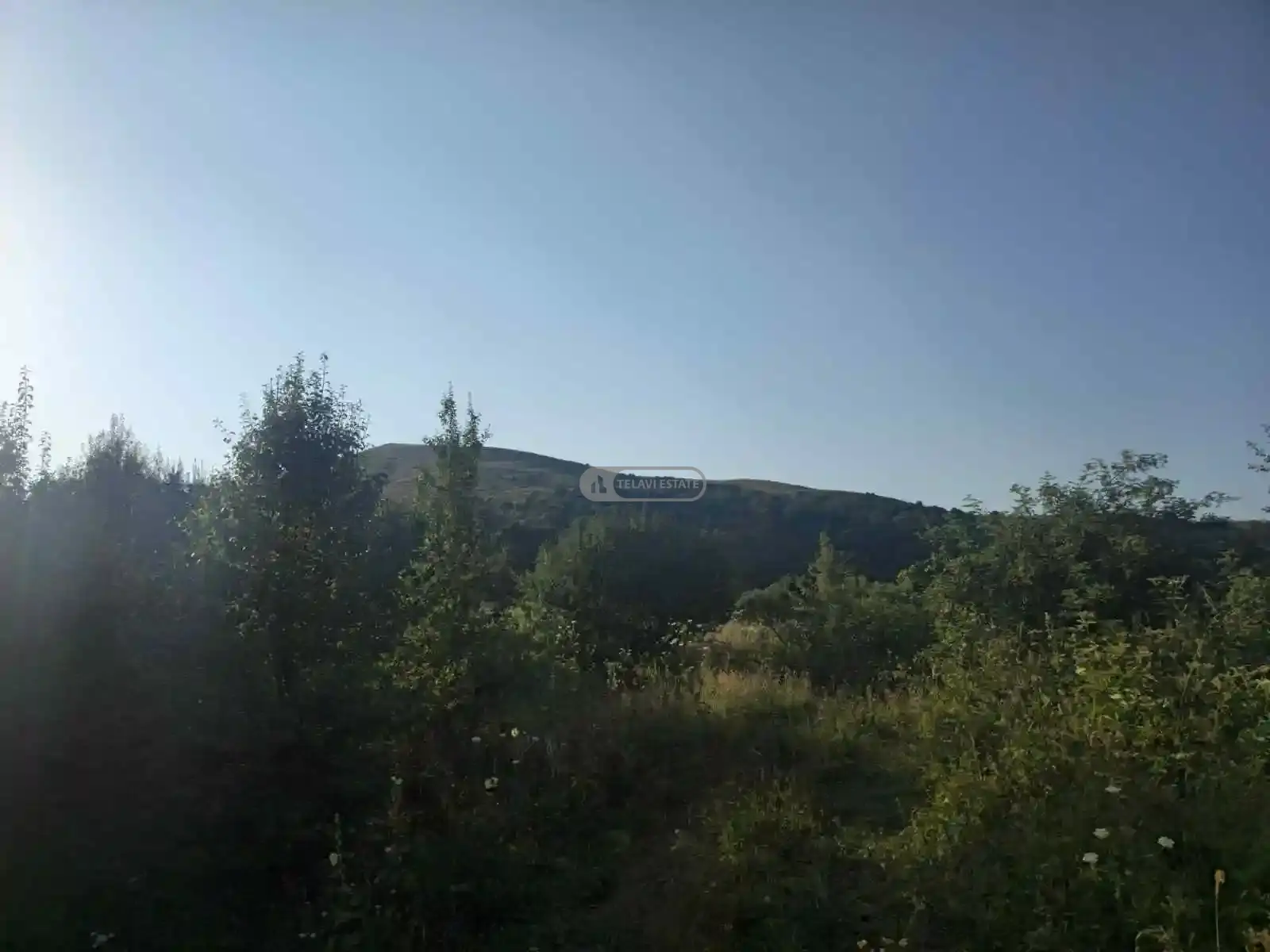 Investment Land Plot in Tetritskhlebi