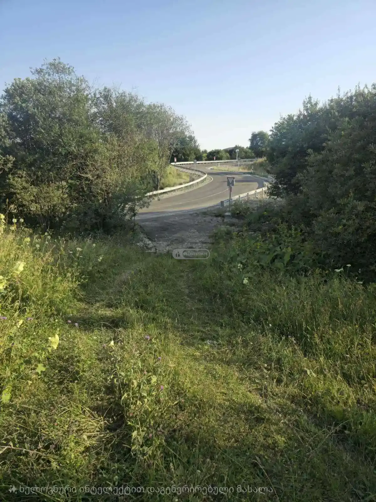 Investment Land Plot in Tetritskhlebi