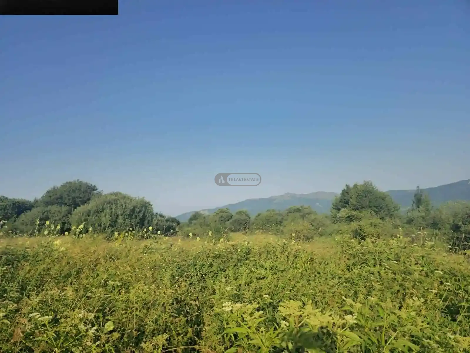 Investment Land Plot in Tetritskhlebi