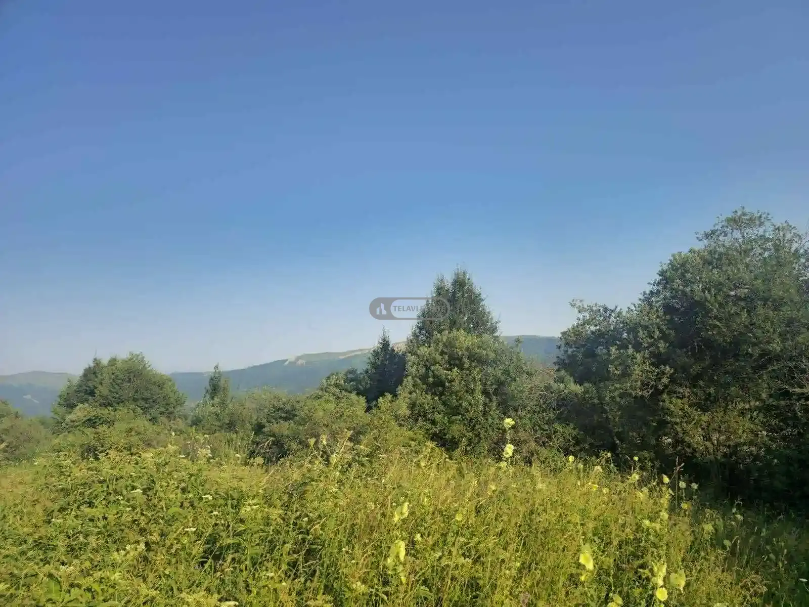 Investment Land Plot in Tetritskhlebi