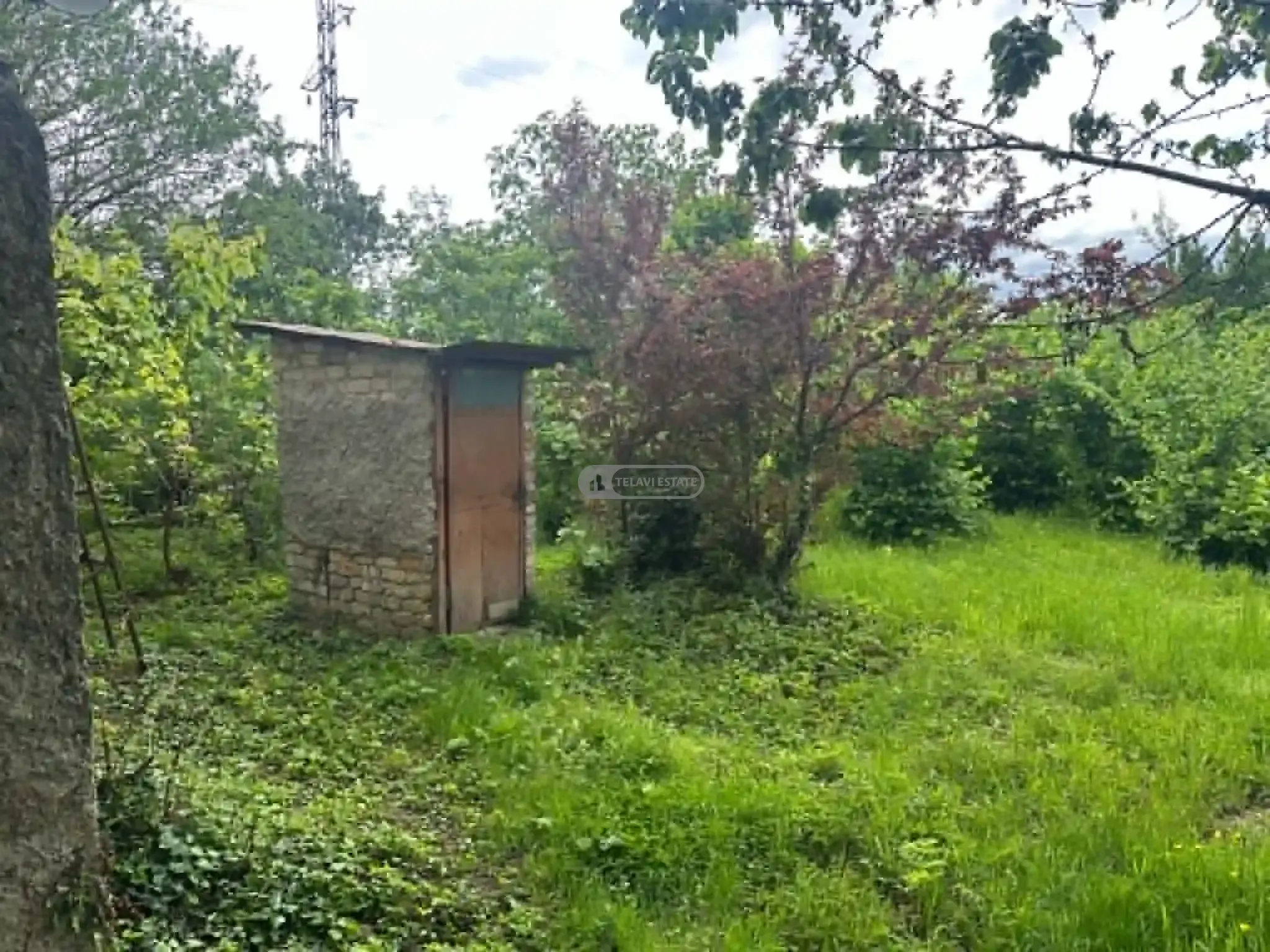 House in Kurdghelauri