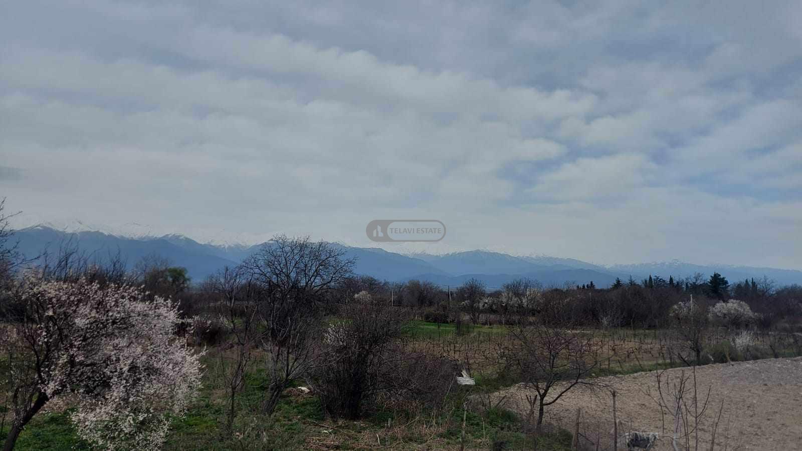 Большой дом в селе Когхото