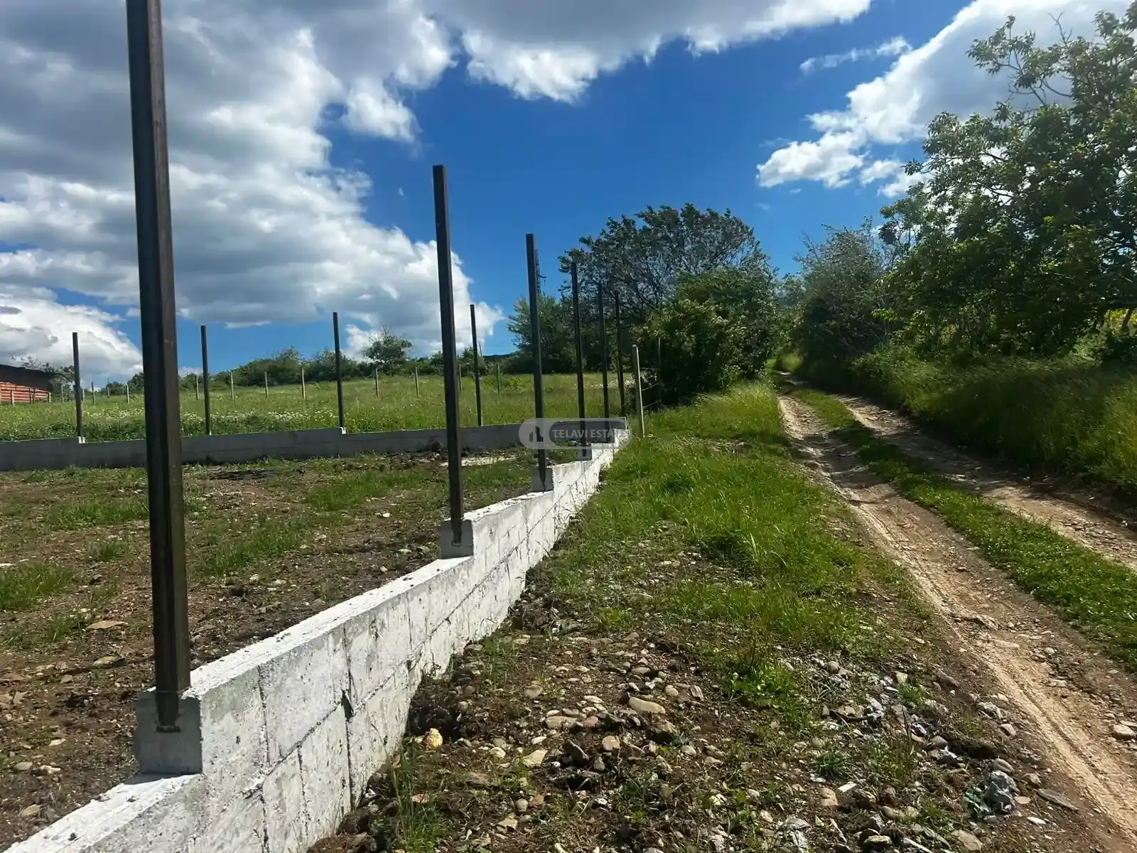 House in Vardisubani