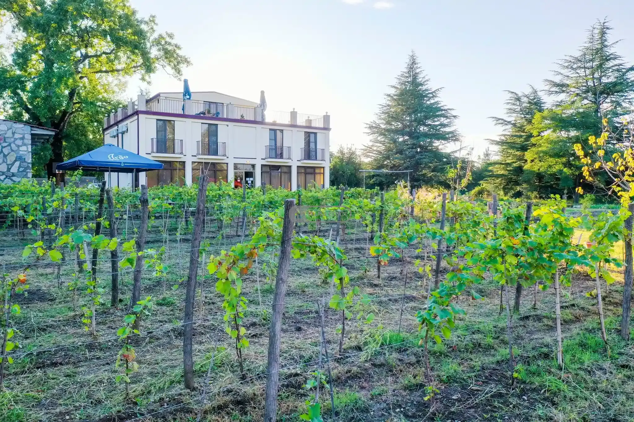 Действующий отель на продажу в Телави