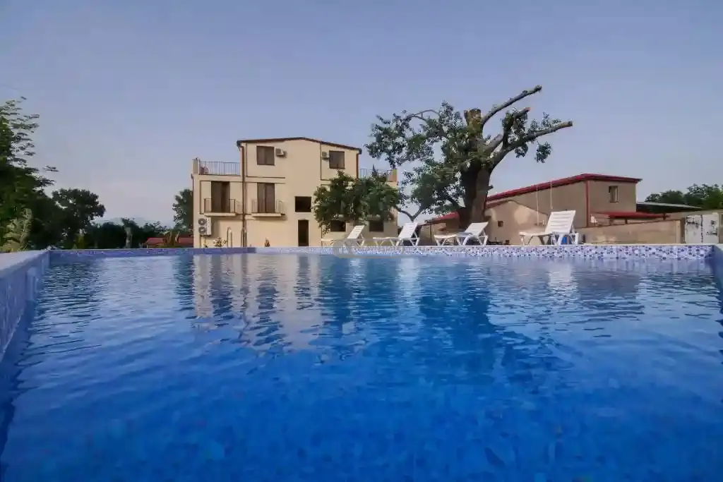 Действующий отель на продажу в Телави