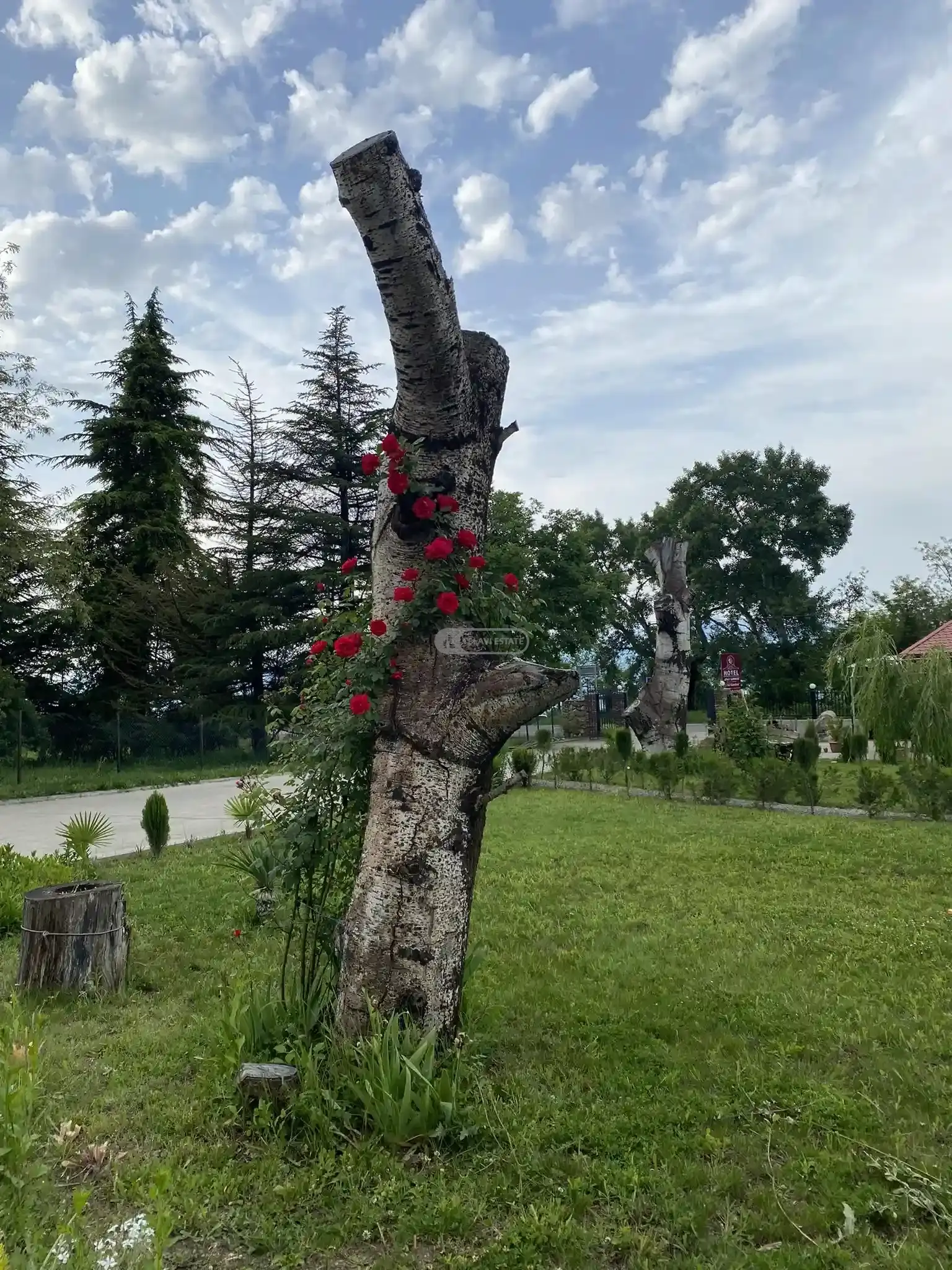 Действующий отель на продажу в Телави