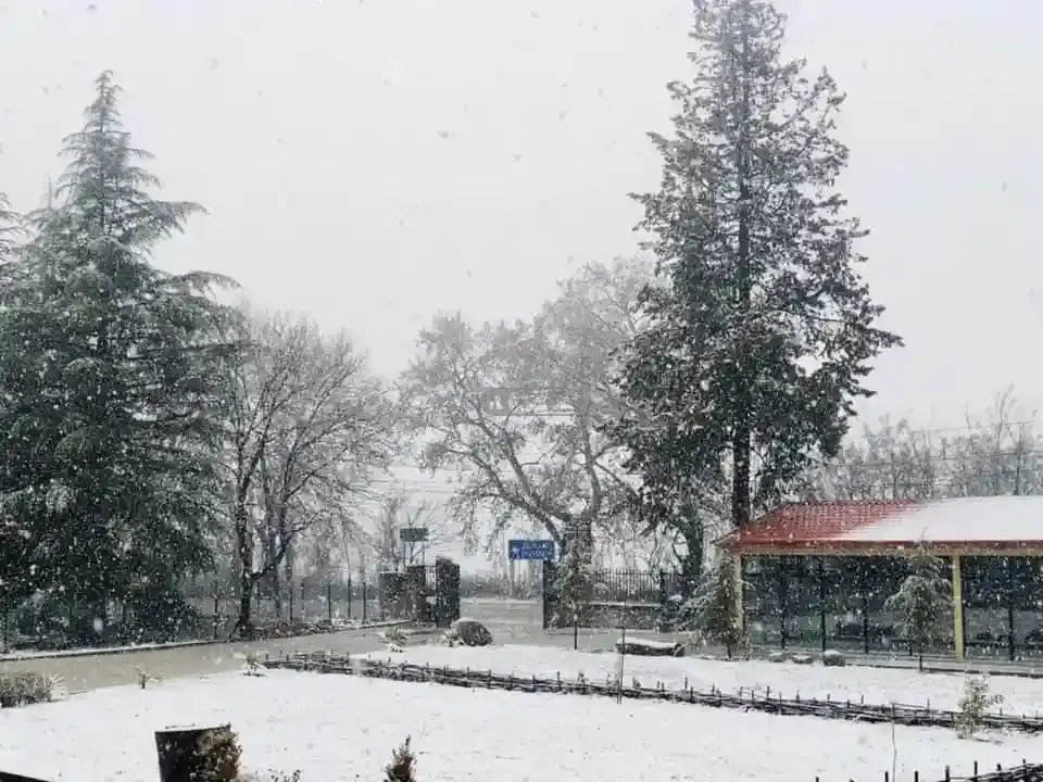 Действующий отель на продажу в Телави