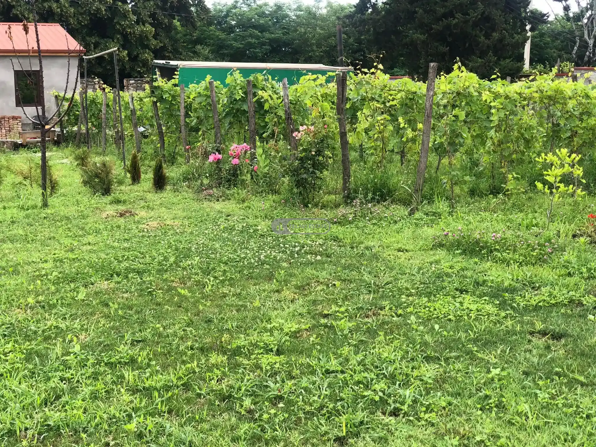 Действующий отель на продажу в Телави