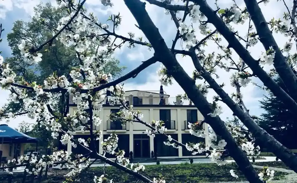 Действующий отель на продажу в Телави