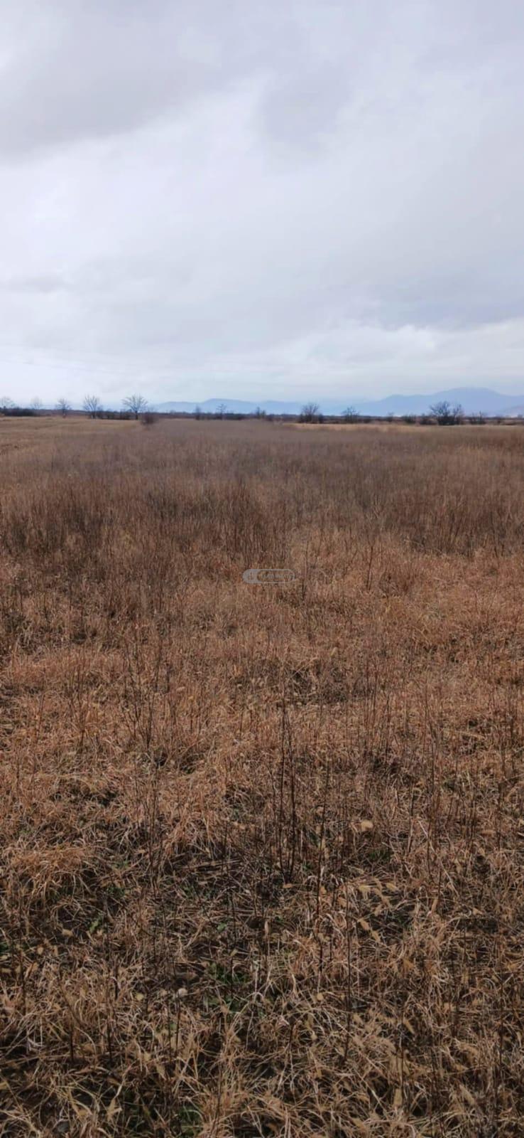 Agricultural Land for Sale in Gulgula