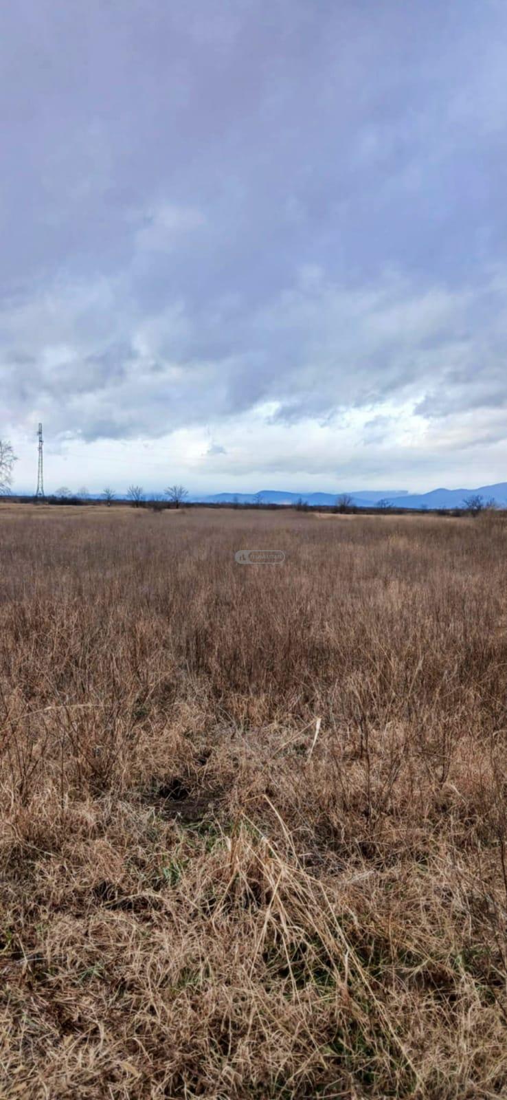 Agricultural Land for Sale in Gulgula