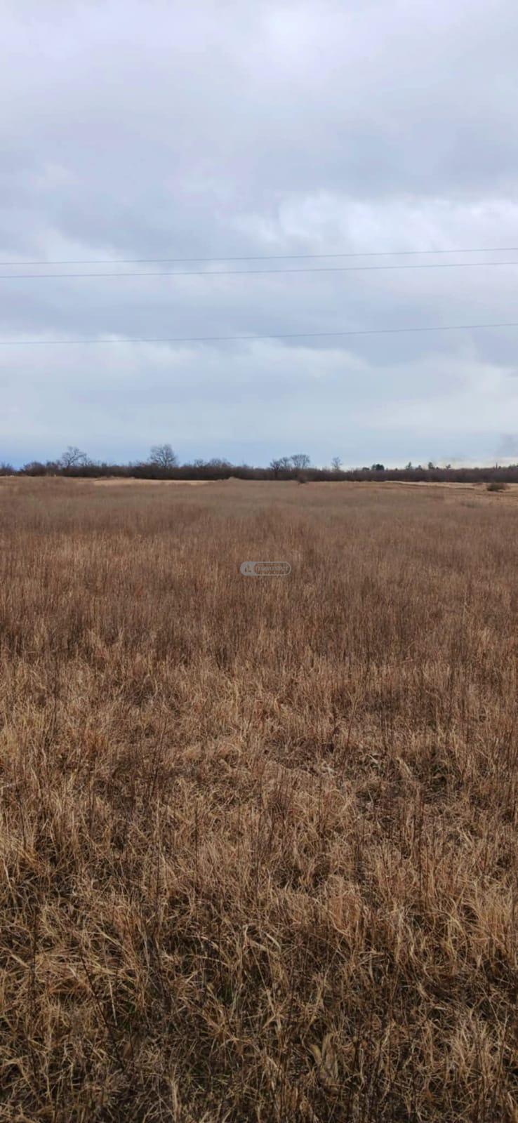 Agricultural Land for Sale in Gulgula