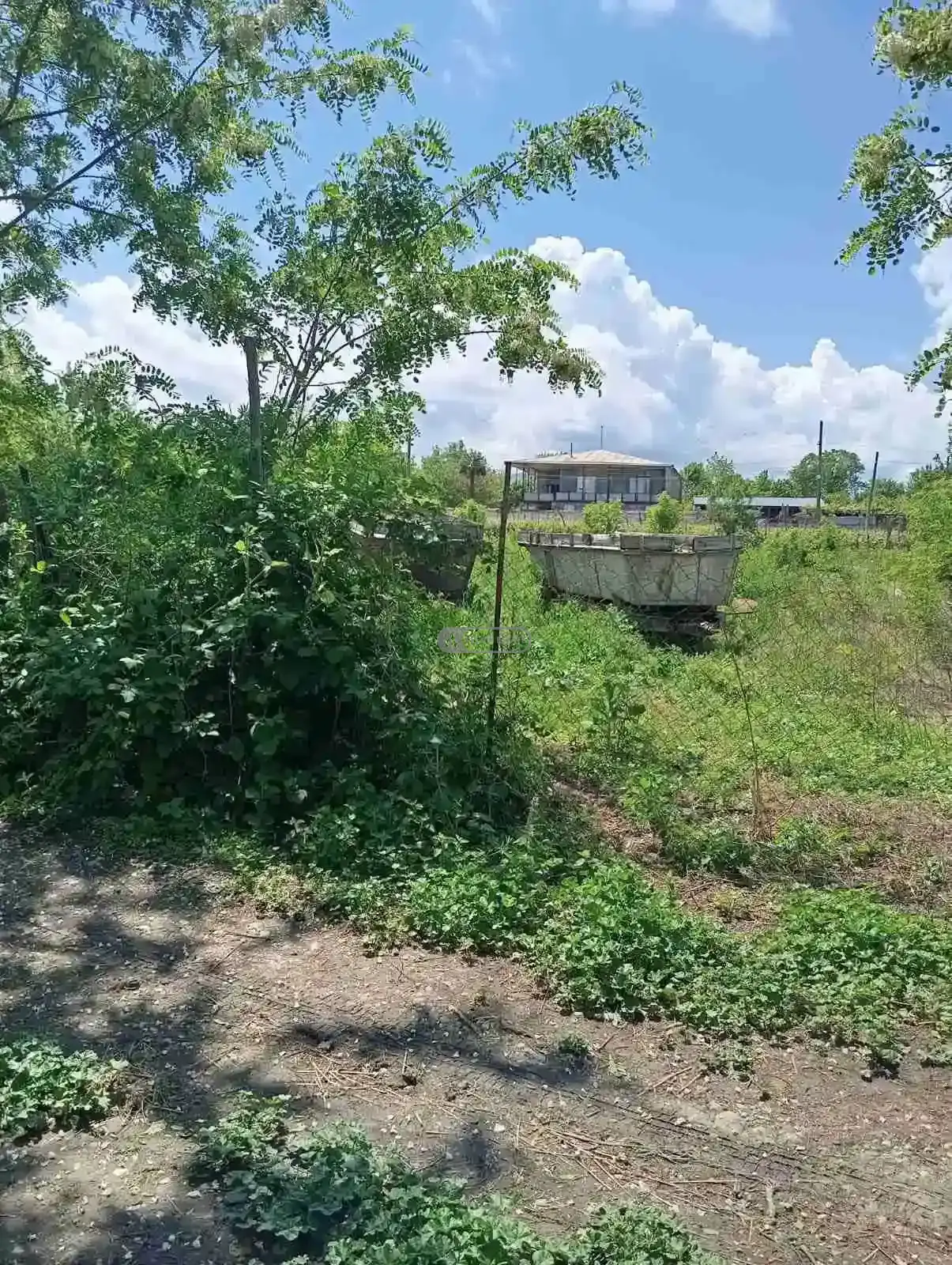 Residential Land Plot for Sale – Tsinandali, Telavi Municipality