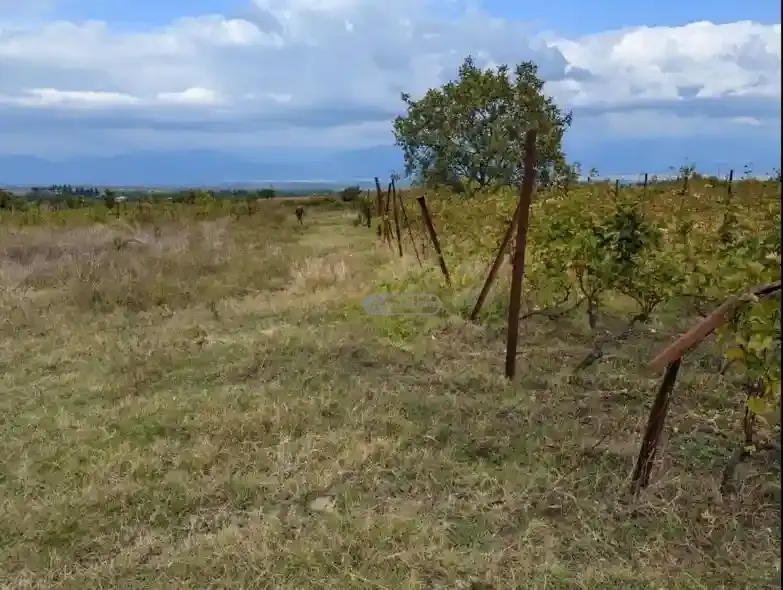 Land plot in Ruispiri