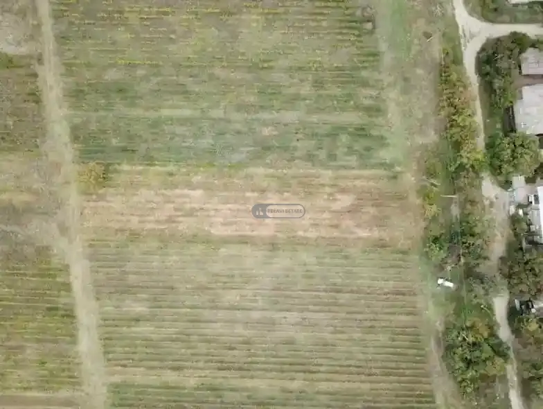 Land plot in Ruispiri