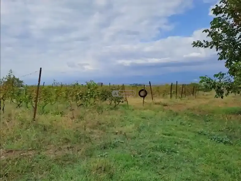 Land plot in Ruispiri