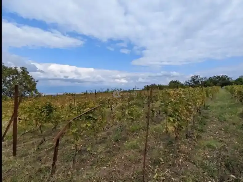 Land plot in Ruispiri