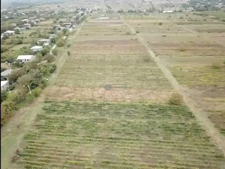 Land plot in Ruispiri
