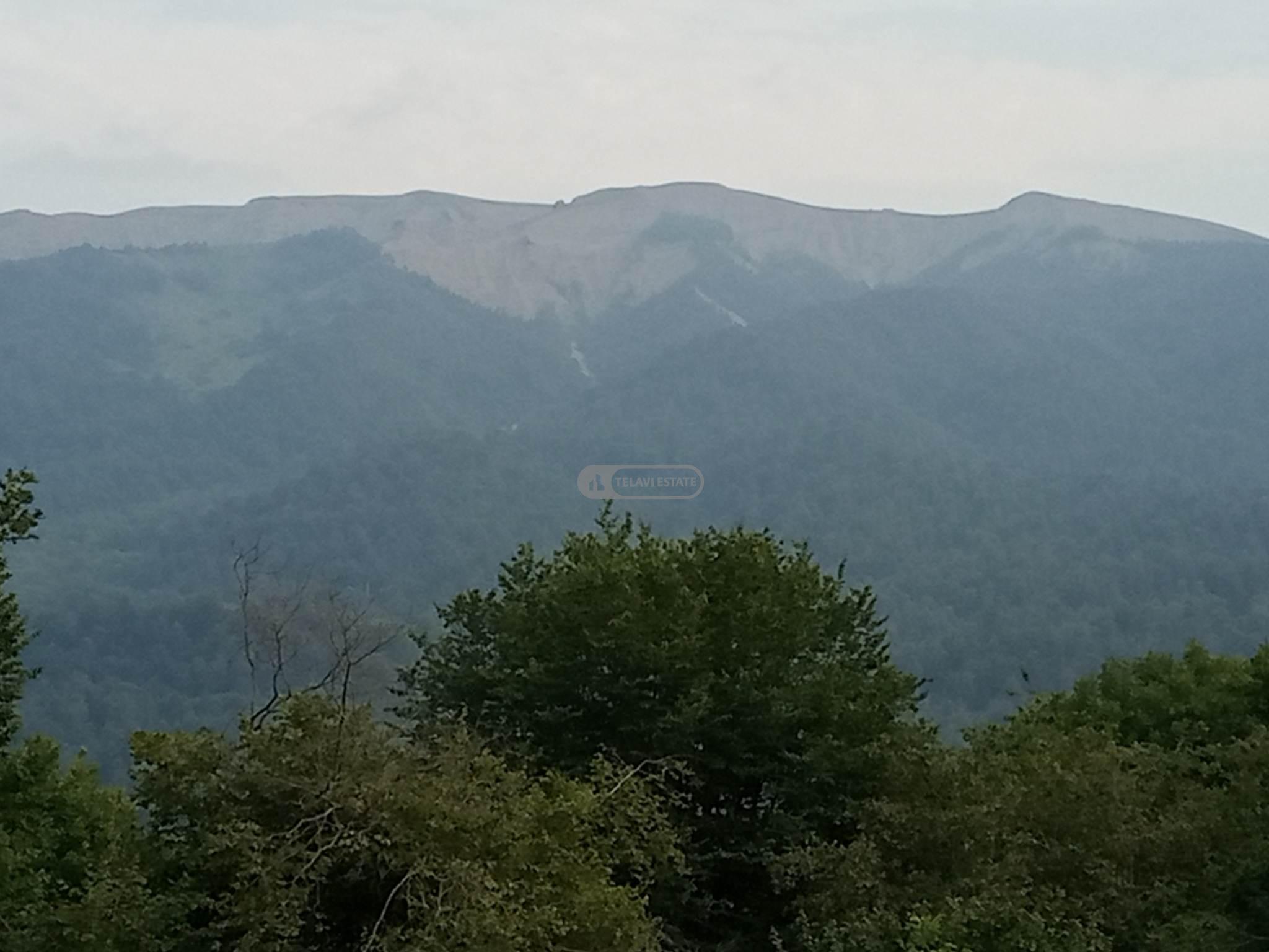 Земельный участок в селе Тетрисклеби