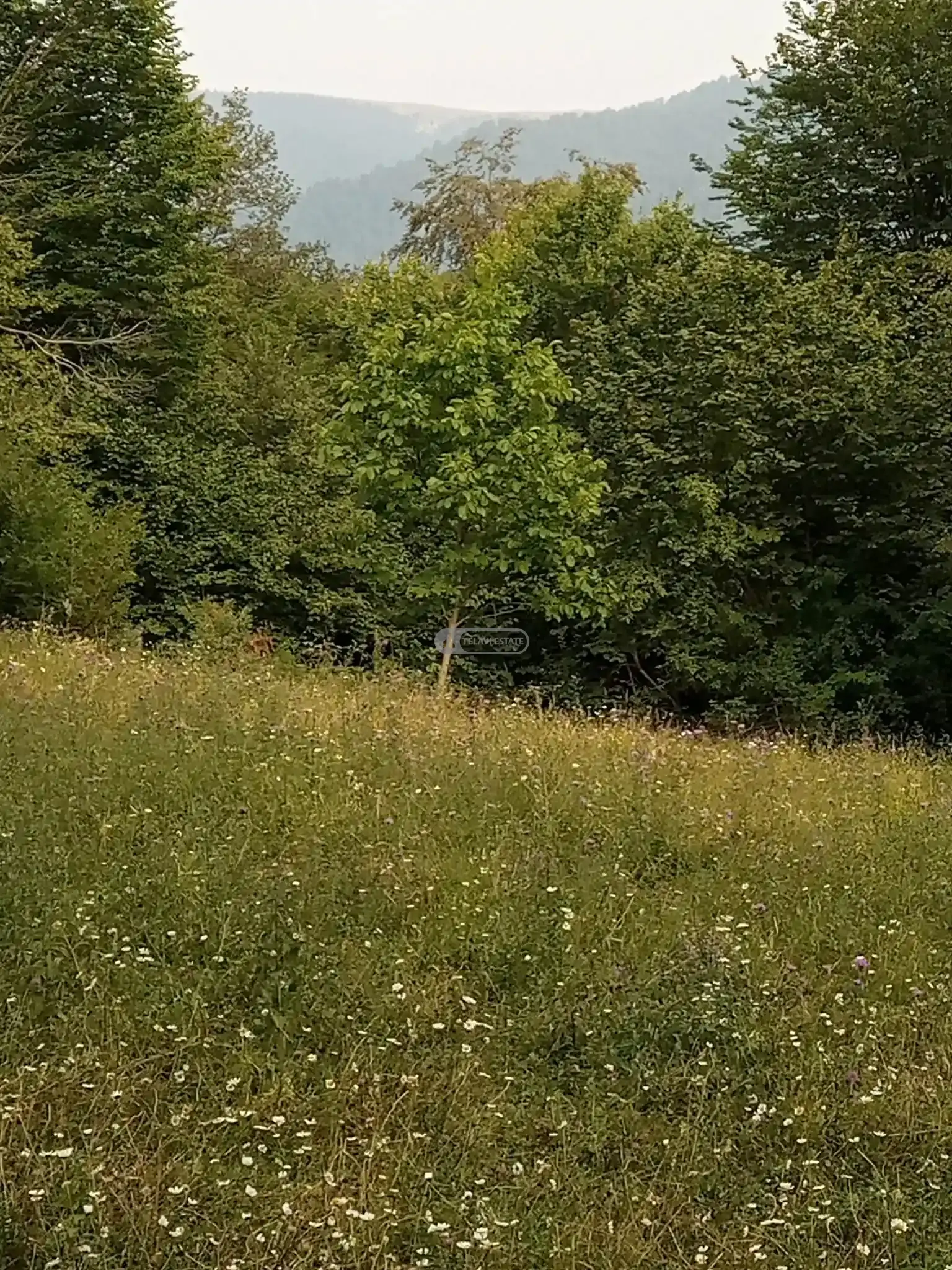 Земельный участок в селе Тетрисклеби