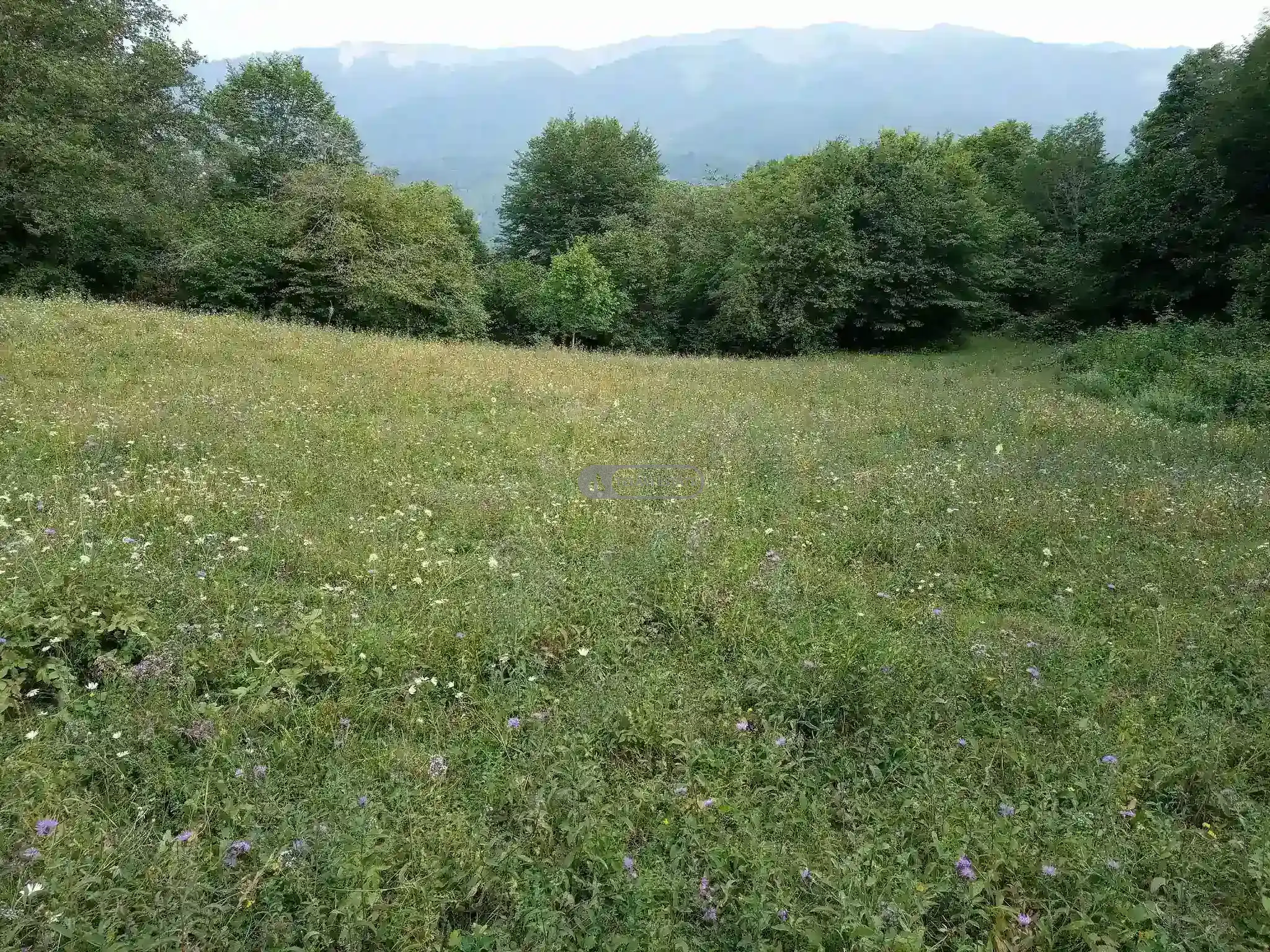 Земельный участок в селе Тетрисклеби