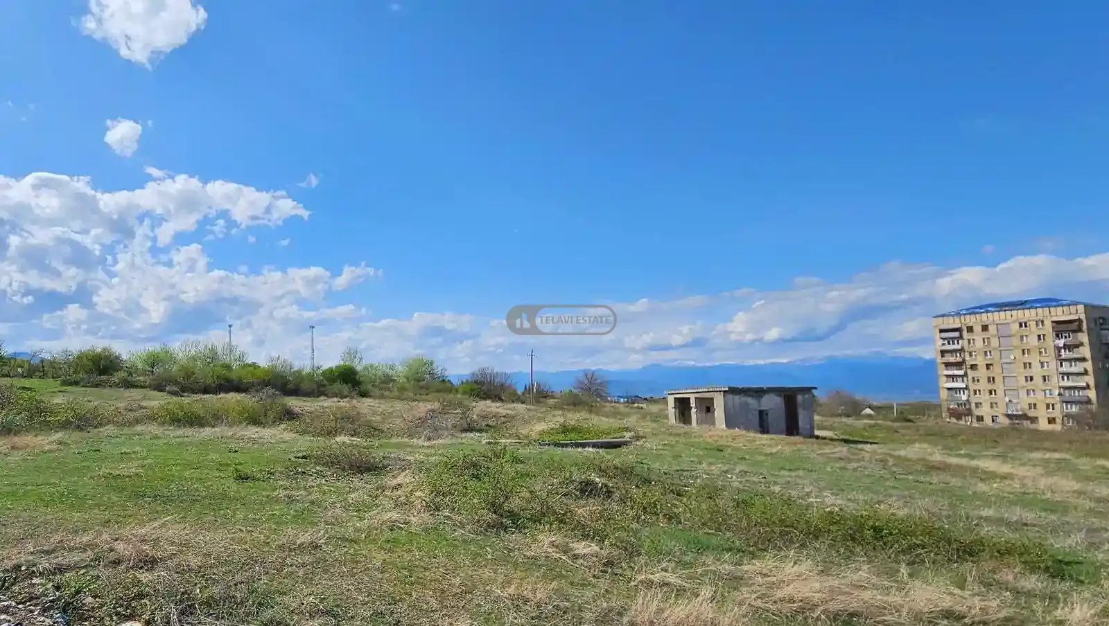 Land for Sale in the City of Telavi
