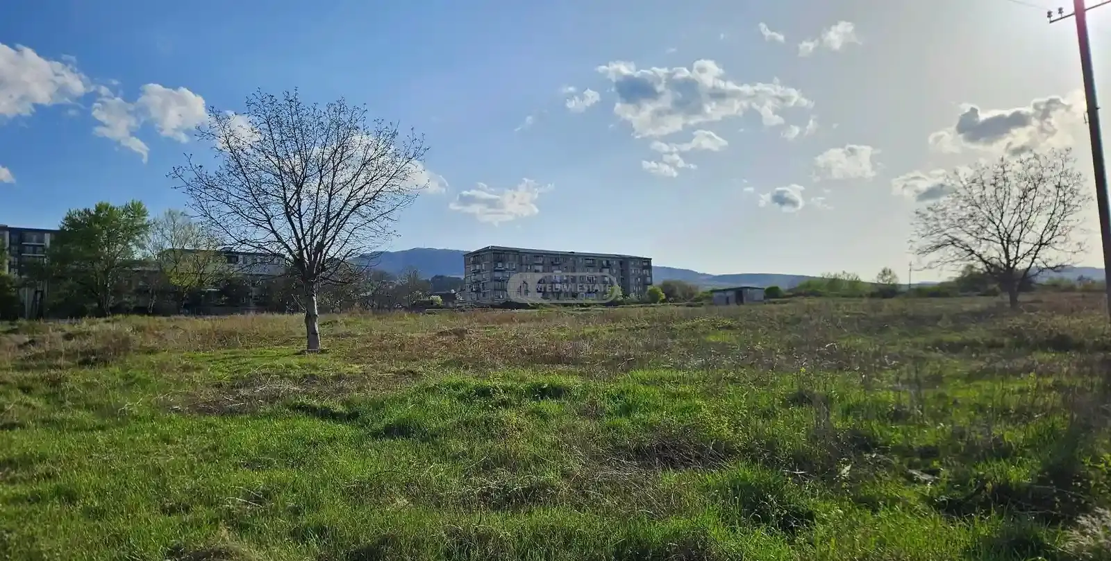 Land for Sale in the City of Telavi