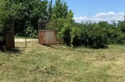 House in Tsinandali