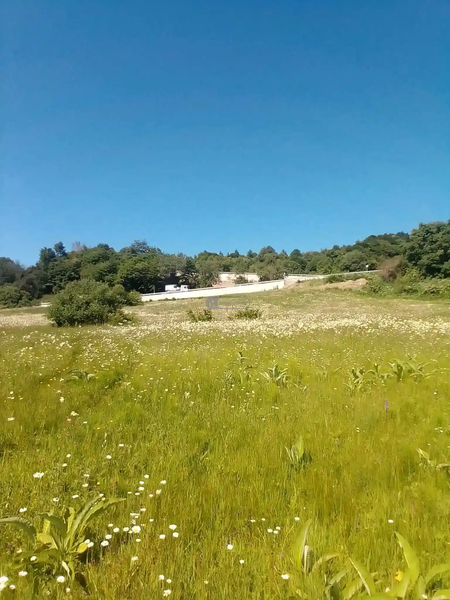 Жилой земельный участок в Тетрицхлебах