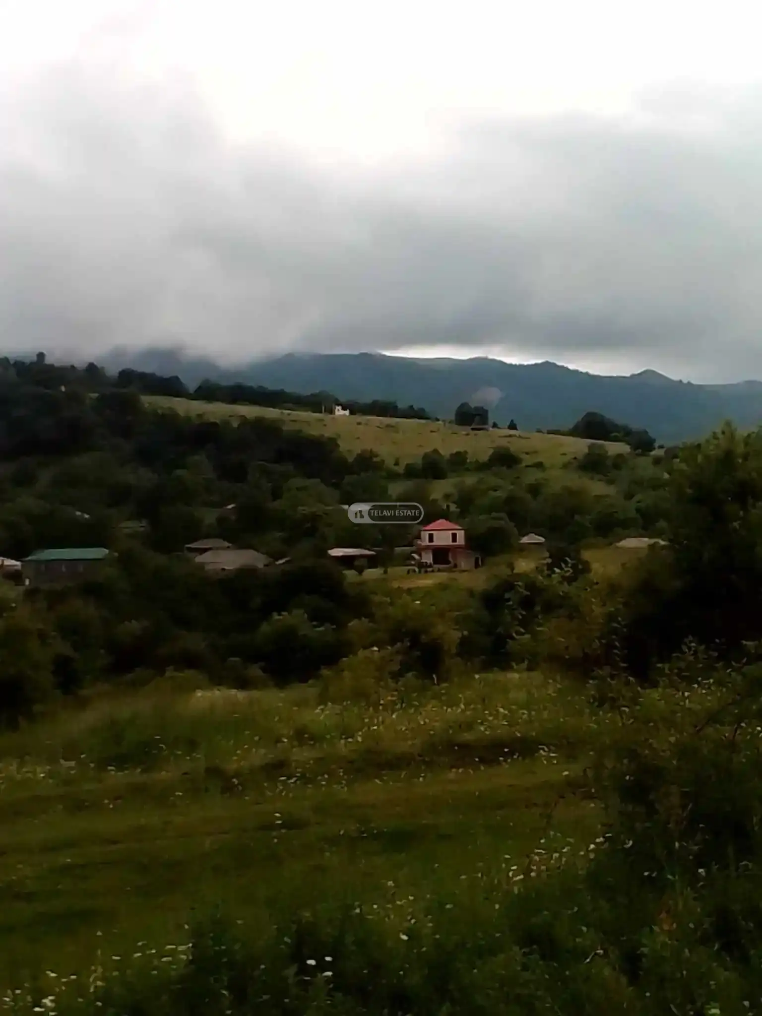 Жилой земельный участок в Тетрицхлебах