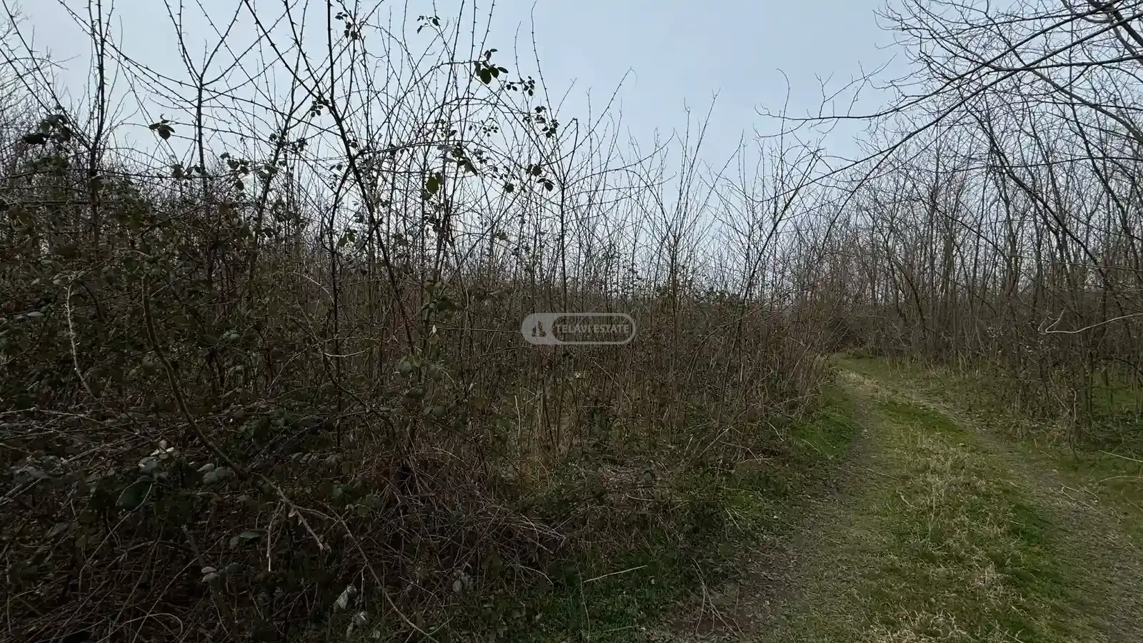 Land plot in Lagodekhi, Matsimi