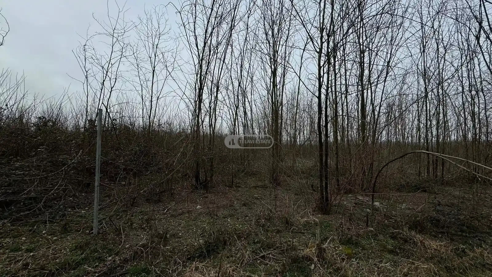 Land plot in Lagodekhi, Matsimi