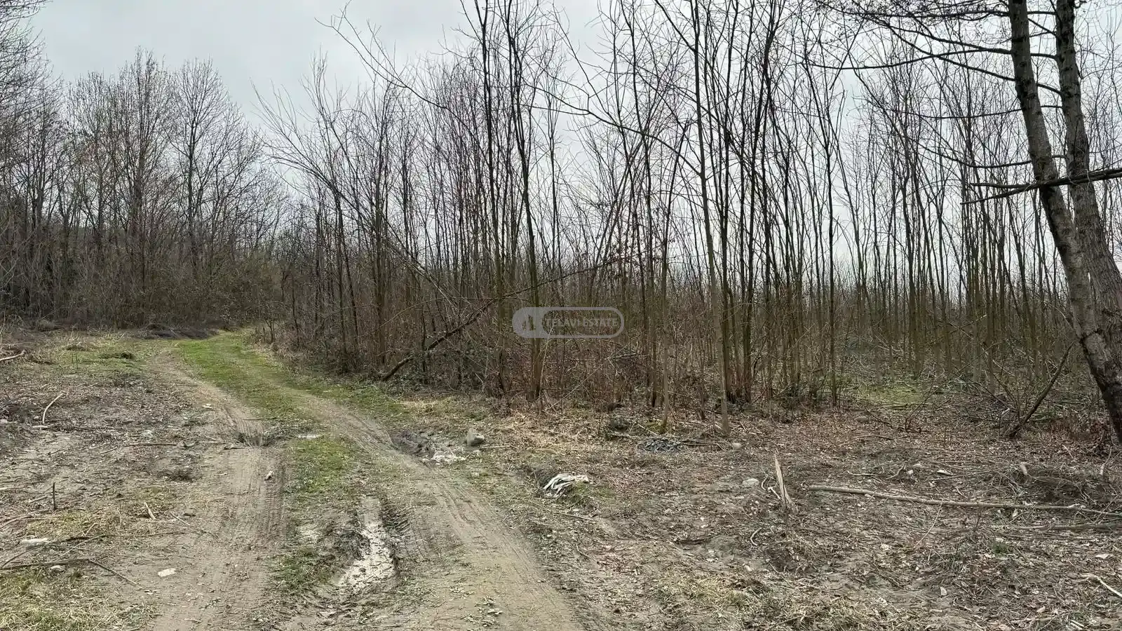 Land plot in Lagodekhi, Matsimi