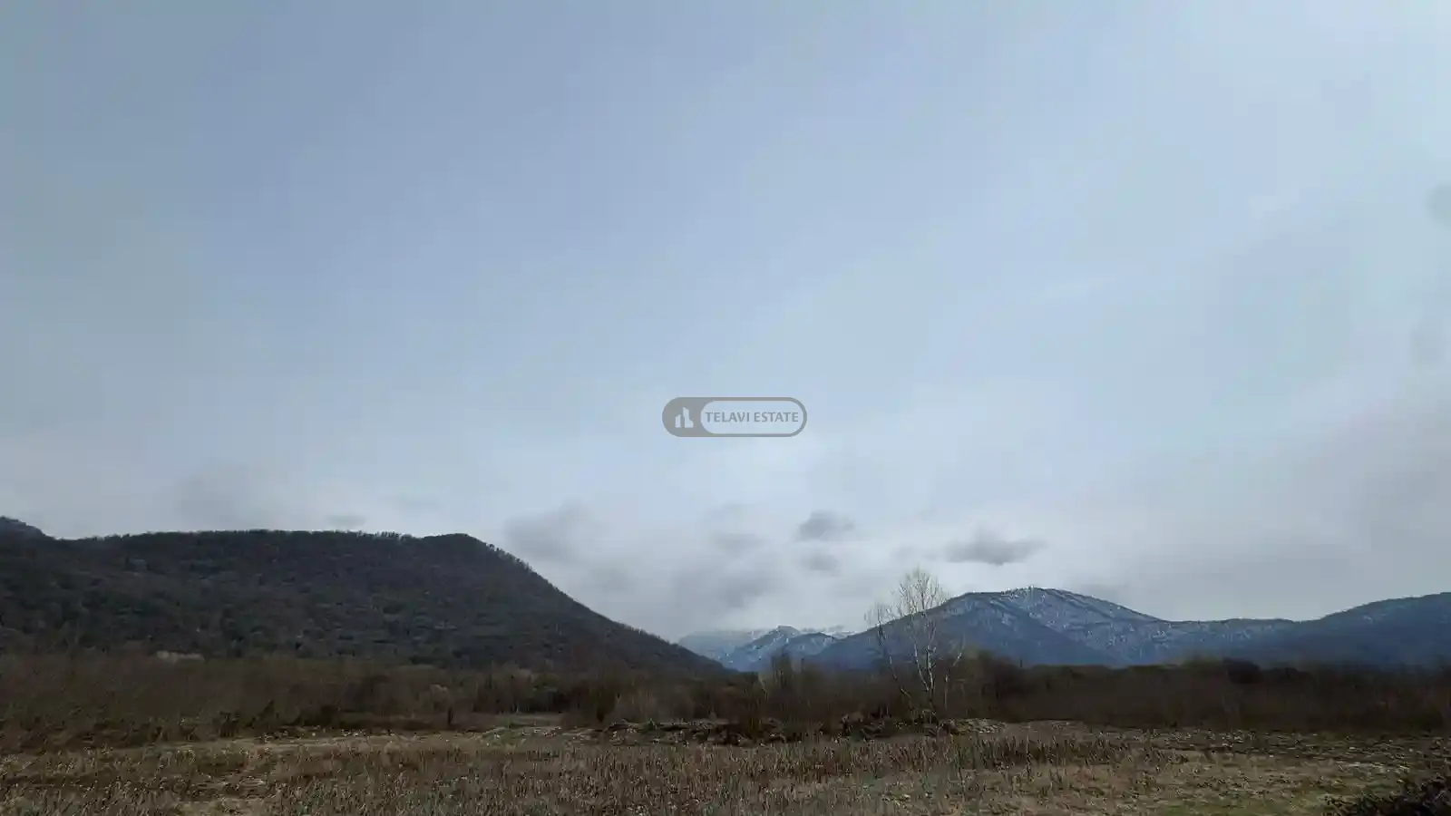 Land plot in Lagodekhi, Matsimi