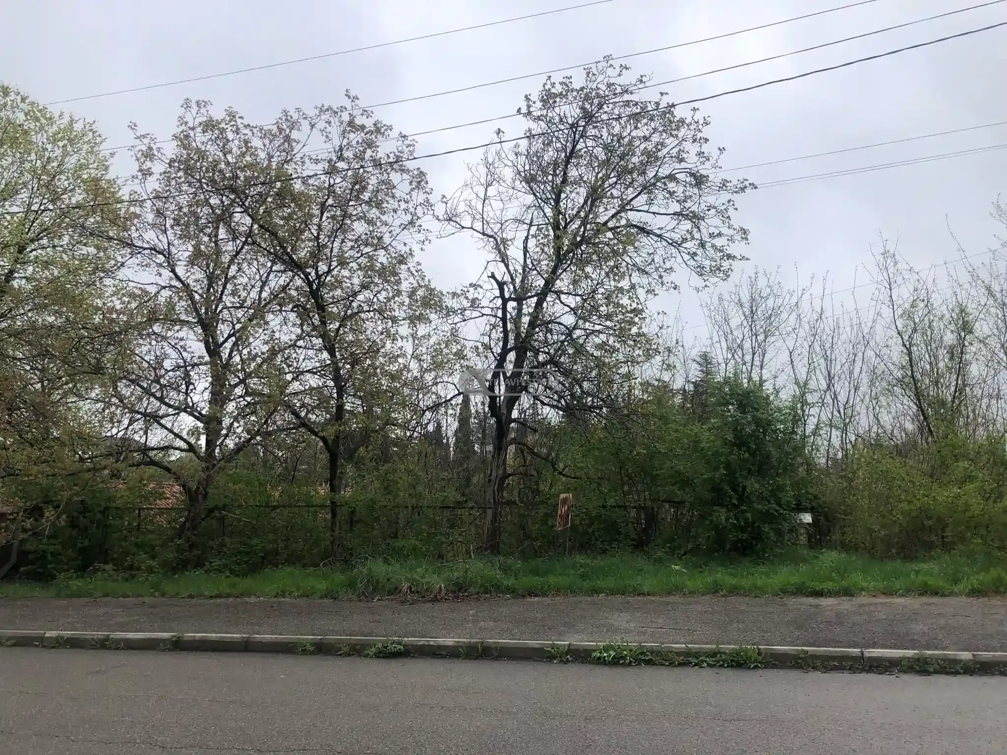 Земельный участок в городе Телави