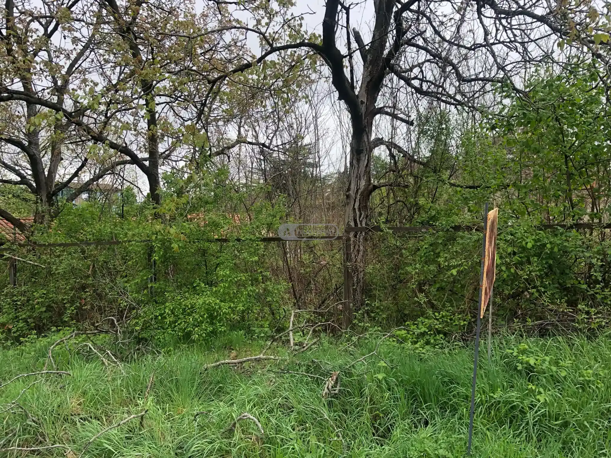 Земельный участок в городе Телави