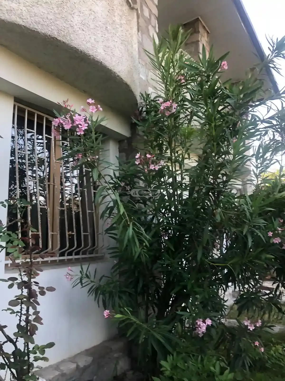 Two-Story House for Sale in the Center of Telavi