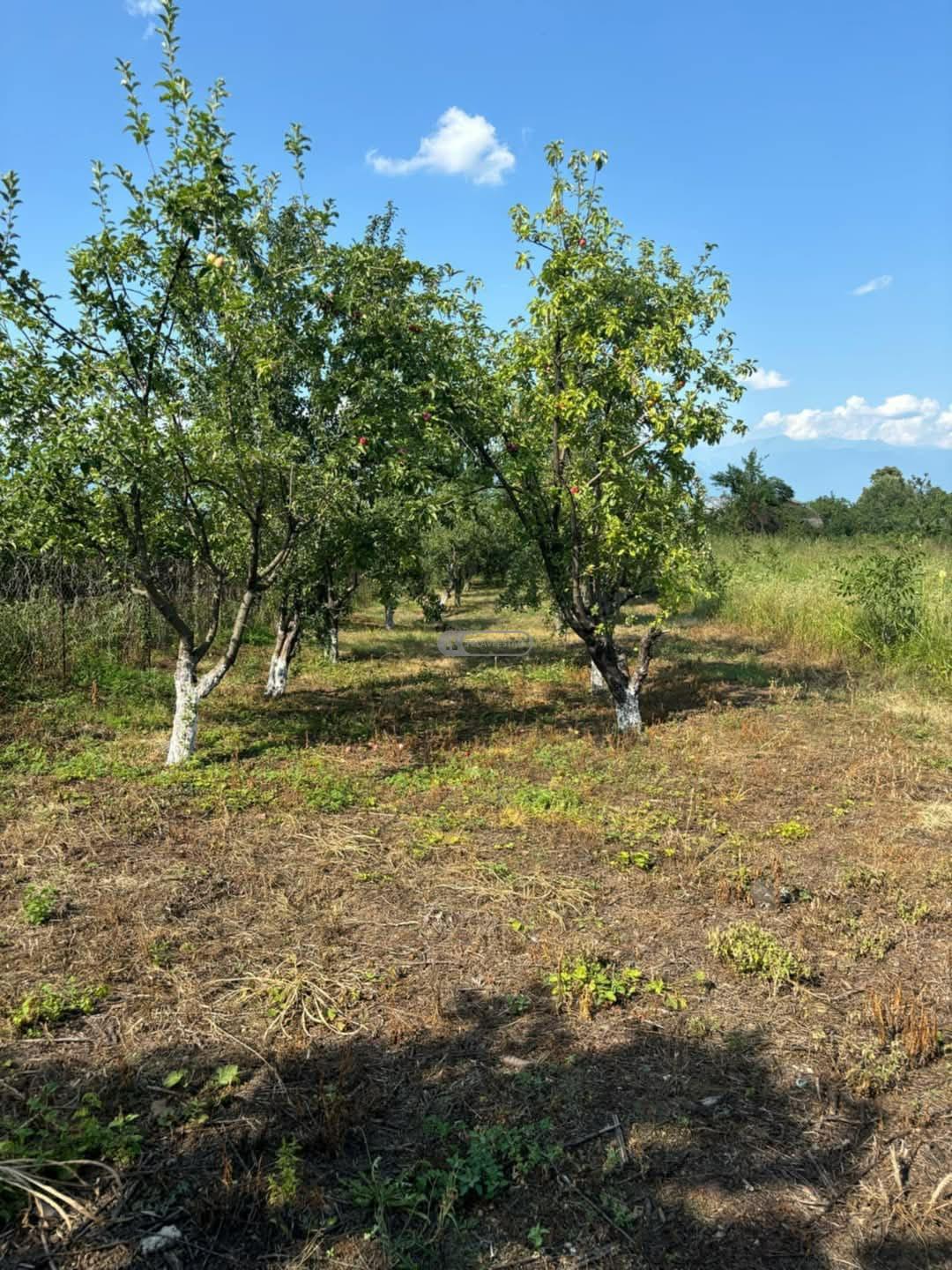 Продаётся хостел и коммерческий объект в селе Ванта