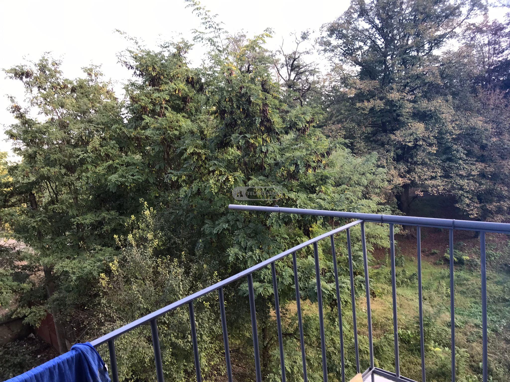 One-and-a-half-room apartment for rent in Telavi