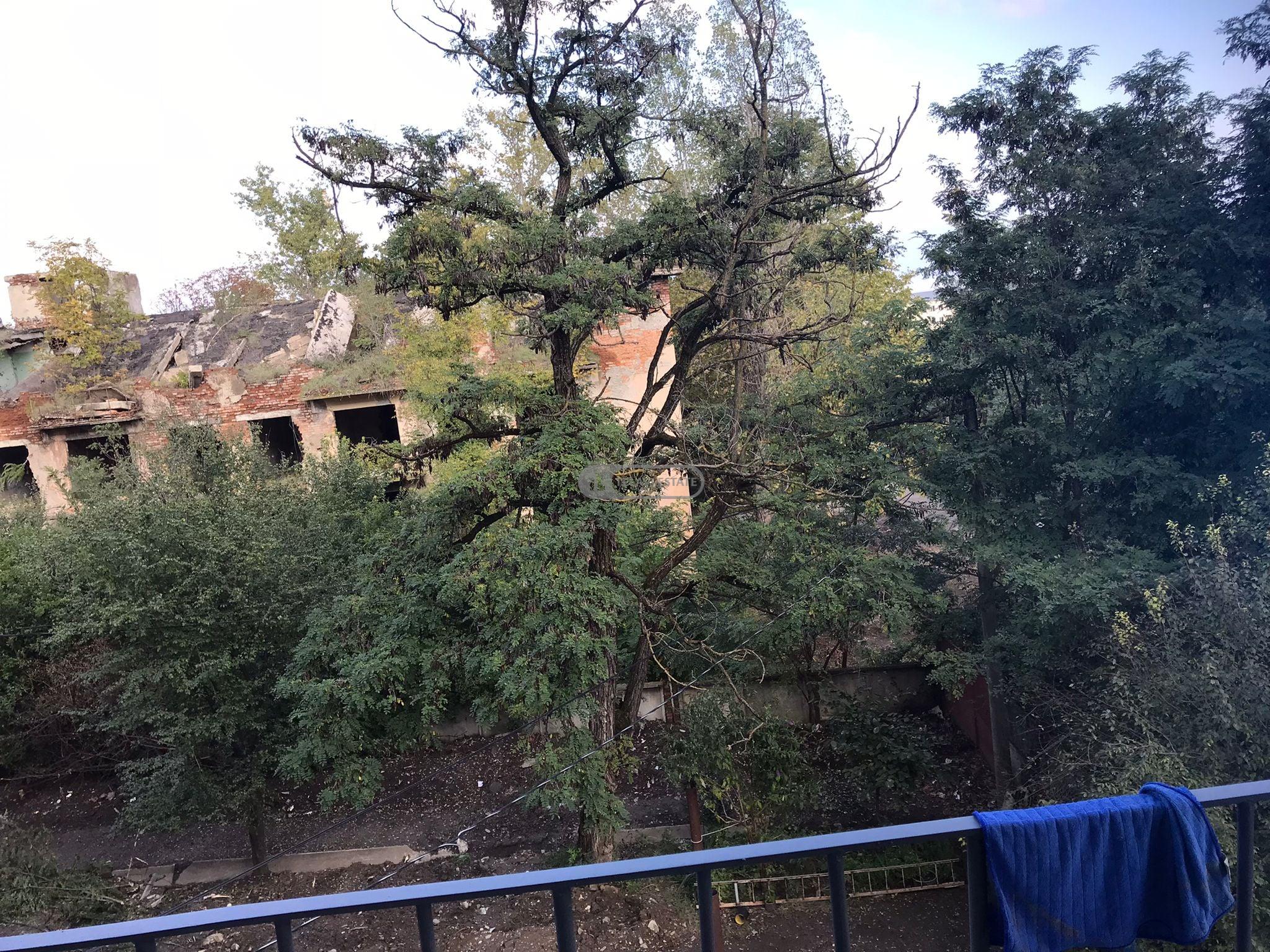 One-and-a-half-room apartment for rent in Telavi