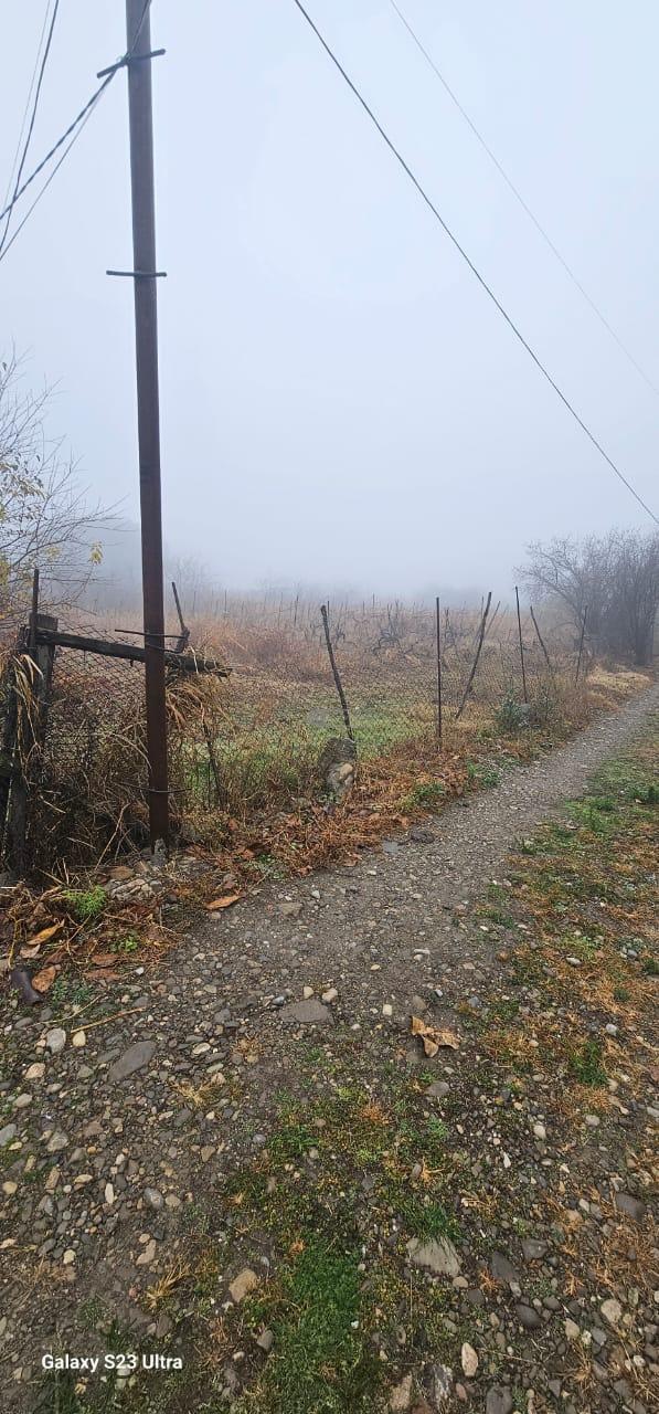 Жилой земельный участок в Цинандали