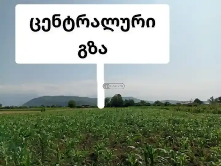 Land for Sale in Matani, Akhmeta