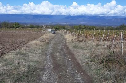 Земельный участок в Вардиcубани