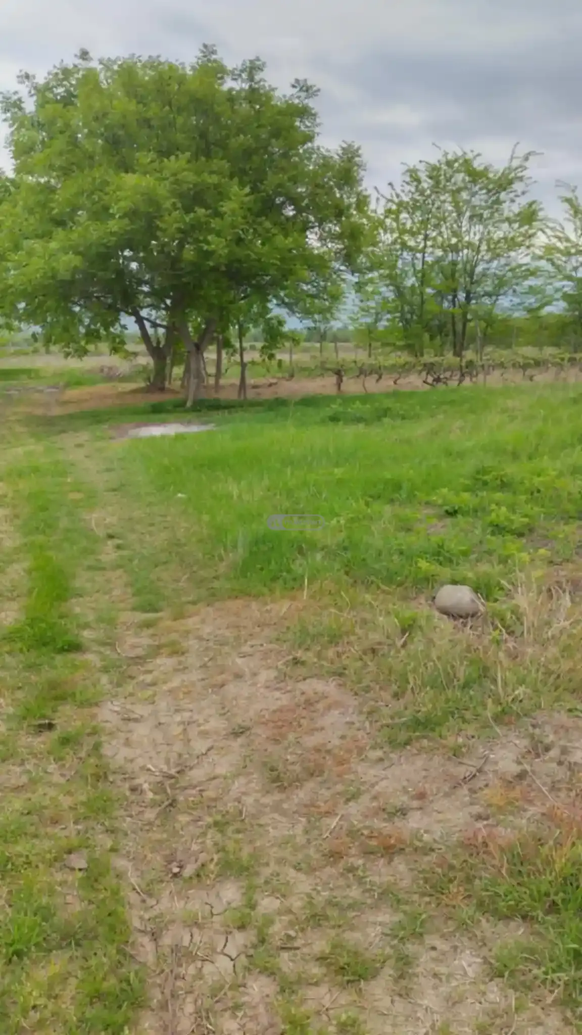 Land for Sale in Kurdgelauri